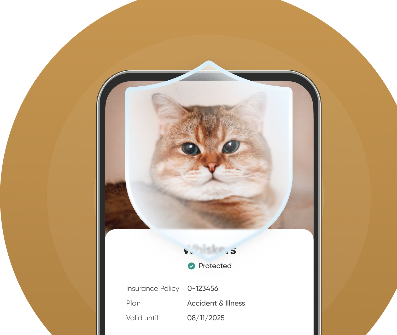 Pet Insurance Product