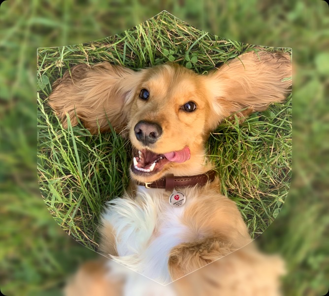 Happy pet owner with dog and cat