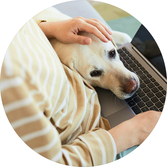 Create Digital Care Profile