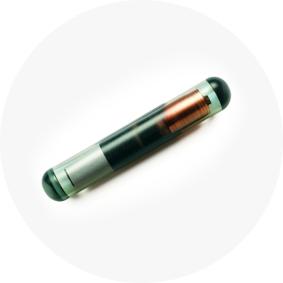 Microchip