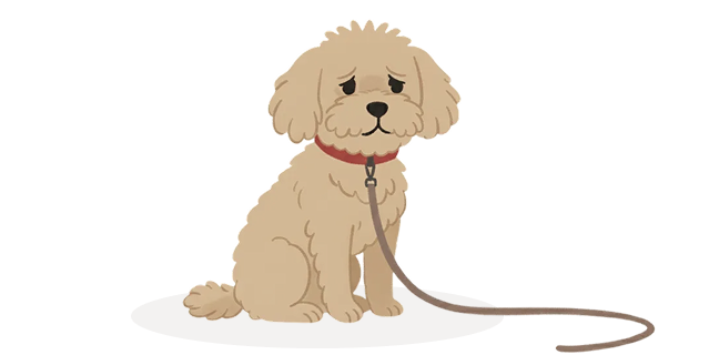 Lost pet illustration