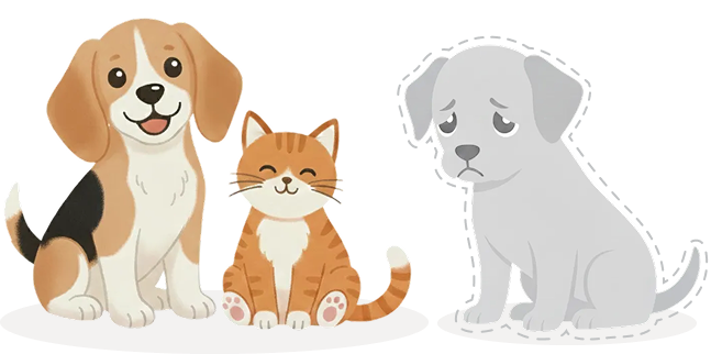Missing pet illustration