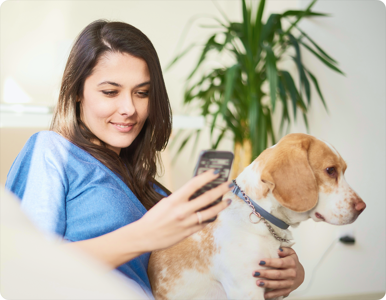 Woman with dog using phone for vet consultation